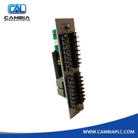 3300 Relay Module - Bently Nevada 82366-01 -Cambiaplc
