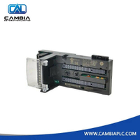 Quality Assurance GE IC200CHS002 VersaMax I/O carrier box style | Emerson